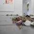 l'écurie / espace créatif et artistique - Image 2