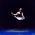 Compagnie Mouvance D'Arts - Spectacle Danse Chorégraphique - Vertiginous Lines - Image 12