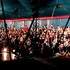 Pardi'Nawak - Concert Jeune Public - Image 2