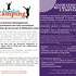 Animation Camping - Animation et spectacle pour votre camping, village et comité - Image 2