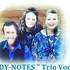 LADY-NOTES  - Trio Vocal tous styles - Image 17