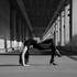 danseuse pratiquante de contorsion - Image 3