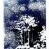  STAGE  MONOTYPE - Image 42
