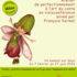 Dahu téméraire - Ecole du Conte - Atelier : Conter, ça me dit