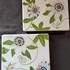 Ré-CRéATIVE - Cours particulier et collectifs de peinture sur porcelaine - Image 6