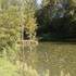 Etang de Caumont