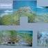 association atelier d'art /bob  - art peinture murale , fresque ,  - Image 3