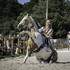 Perrine Vanoutryve - Spectacle Equestre et Feu - Image 6