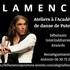 LE FLAMENCO POUR TOUS - FLAMENCO - SEVILLANAS - DANSE GIPSY FIT - Image 3