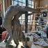 Nicole Brousse - Ateliers, cours et stages de sculpture modelage - Image 6