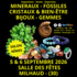 Salon Minéraux Fossiles Bijoux de Nîmes