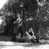 Why Not "The Duo" - Duo Acoustique 