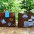 Pascale Rousseau - Cours de dessin & aquarelle adultes, arts plastiques enfants - Image 5
