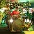 ROULTAZIC - Parade burlesque et musicale - Image 9
