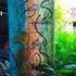 Stage de 4 jours AU JARDIN Aquarelle, PEINTURE,DESSIN, ET... - Image 20