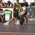 Freestyle Football Démonstrations, shows, initiations... hugo.y@hotmail.fr - Image 5