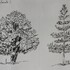 Florent Tardieu - Cours de dessin, médiums de dessin au Musée du Louvre - Image 2