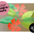 Stage Week-End Printemps / Linogravure