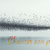 Chanter son paysage