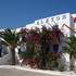 LIEU DE STAGE IDEAL EN GRECE - Image 4