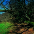 Site de Kernansquillec en Vallée du Léguer