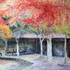 Association Enac - Cours de dessin/peinture - Image 3