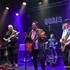 FROGGY STYLE BAND - GROUPE DE BLUES POP  - Image 5
