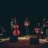 Le Quintet de Pioche - Groupe de musique d'Europe centrale (Manouche, Klezmer ...) - Image 5