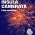 Insula Camerata - Fête musicale