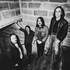 The Datsuns