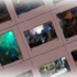 ORGANISATION, DÉVELOPPEMENT ET RETOUCHES RAPIDE DE SES IMAGES NUMERIQUES