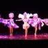 oh my dolls cabaret 