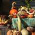 Fête et Randonnée de la Courge