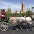 Excursion à Marrakech  - Image 2