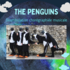 A voir! Cie Dézinguée - "THE PENGUINS "-Déambulation musicale chorégraphiée
