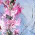 Stage de 4 jours AU JARDIN Aquarelle, PEINTURE,DESSIN, ET... - Image 5