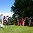 le petit conservatoire de la harpe  - cours de harpe celtique, Bientot a VANNES