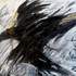 Florent Prudent - la peinture est un combat - Image 2