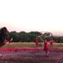 Dîner-Spectacle Équestre & Arts du Feu – Moulin des Arts - Image 2