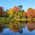 Dimanches d'Automne - Image 4