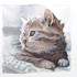 Marine Chauvet - Cours de dessin et aquarelle - Image 10