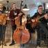 Monsieur Nours  - Chansons Swing  - Image 6