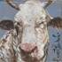 Florent Prudent - la peinture est un combat - Image 3