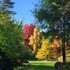 Dimanches d'Automne