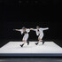 Soirée danses  - Image 2
