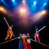 Yongoyély·Circus Baobab - Cirque 