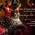 Association Lib'Arte - Cours d'essai de Flamenco