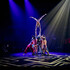 Moya - Zip Zap Circus