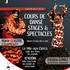 Association Flamenco 41 - Cours et Spectacles de Flamenco - Image 2