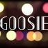 Goosie - Groupe swing pop pour vos animations et événements - Image 5